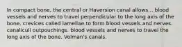 In compact bone, the central or Haversion canal allows... blood vessels and nerves to travel perpendicular to the long axis of the bone. crevices called lamellae to form blood vessels and nerves. canaliculi outpouchings. blood vessels and nerves to travel the long axis of the bone. Volman's canals.