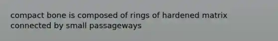 compact bone is composed of rings of hardened matrix connected by small passageways