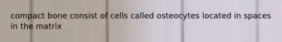 compact bone consist of cells called osteocytes located in spaces in the matrix