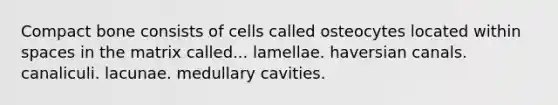 Compact bone consists of cells called osteocytes located within spaces in the matrix called... lamellae. haversian canals. canaliculi. lacunae. medullary cavities.