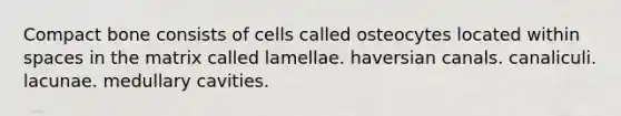 Compact bone consists of cells called osteocytes located within spaces in the matrix called lamellae. haversian canals. canaliculi. lacunae. medullary cavities.