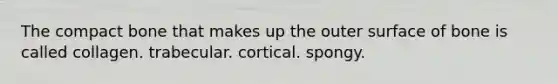 The compact bone that makes up the outer surface of bone is called collagen. trabecular. cortical. spongy.