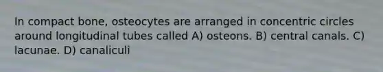 In compact bone, osteocytes are arranged in <a href='https://www.questionai.com/knowledge/kyLzXa957r-concentric-circles' class='anchor-knowledge'>concentric circles</a> around longitudinal tubes called A) osteons. B) central canals. C) lacunae. D) canaliculi