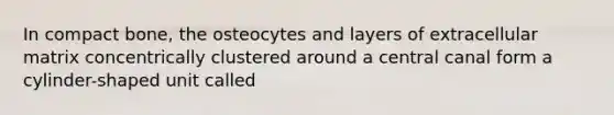 In compact bone, the osteocytes and layers of extracellular matrix concentrically clustered around a central canal form a cylinder-shaped unit called