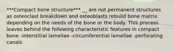 ***Compact bone structure*** __ are not permanent structures as osteoclast breakdown and osteoblasts rebuild bone matrix depending on the needs of the bone or the body. This process leaves behind the following characteristic features in compact bone -interstitial lamellae -circumferential lamellae -perforating canals