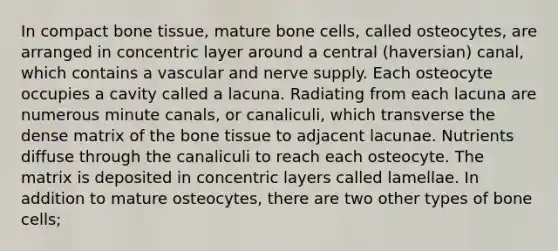 In compact bone tissue, mature bone cells, called osteocytes, are arranged in concentric layer around a central (haversian) canal, which contains a vascular and nerve supply. Each osteocyte occupies a cavity called a lacuna. Radiating from each lacuna are numerous minute canals, or canaliculi, which transverse the dense matrix of the bone tissue to adjacent lacunae. Nutrients diffuse through the canaliculi to reach each osteocyte. The matrix is deposited in concentric layers called lamellae. In addition to mature osteocytes, there are two other types of bone cells;