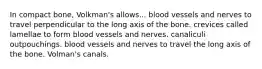 In compact bone, Volkman's allows... blood vessels and nerves to travel perpendicular to the long axis of the bone. crevices called lamellae to form blood vessels and nerves. canaliculi outpouchings. blood vessels and nerves to travel the long axis of the bone. Volman's canals.