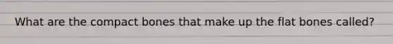 What are the compact bones that make up the flat bones called?