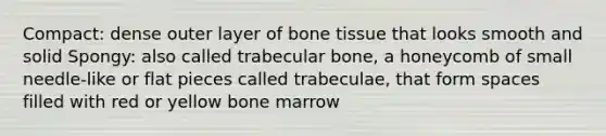 Compact: dense outer layer of bone tissue that looks smooth and solid Spongy: also called trabecular bone, a honeycomb of small needle-like or flat pieces called trabeculae, that form spaces filled with red or yellow bone marrow