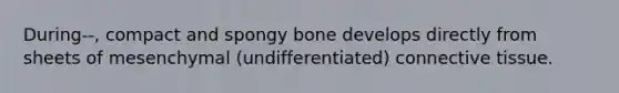 During--, compact and spongy bone develops directly from sheets of mesenchymal (undifferentiated) connective tissue.