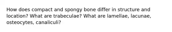 How does compact and spongy bone differ in structure and location? What are trabeculae? What are lamellae, lacunae, osteocytes, canaliculi?