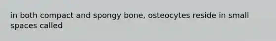 in both compact and spongy bone, osteocytes reside in small spaces called