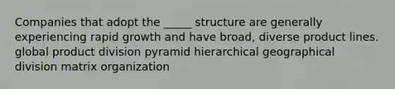 Companies that adopt the _____ structure are generally experiencing rapid growth and have broad, diverse product lines. global product division pyramid hierarchical geographical division matrix organization