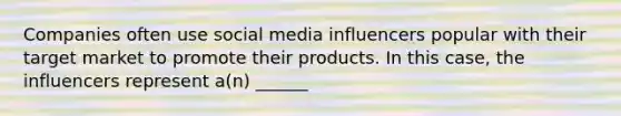 Companies often use social media influencers popular with their target market to promote their products. In this case, the influencers represent a(n) ______