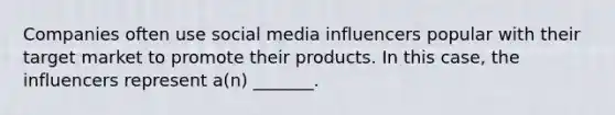 Companies often use social media influencers popular with their target market to promote their products. In this case, the influencers represent a(n) _______.