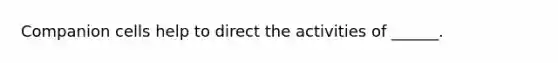 Companion cells help to direct the activities of ______.