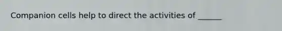 Companion cells help to direct the activities of ______