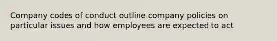 Company codes of conduct outline company policies on particular issues and how employees are expected to act