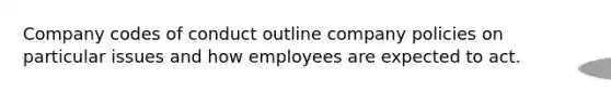 Company codes of conduct outline company policies on particular issues and how employees are expected to act.