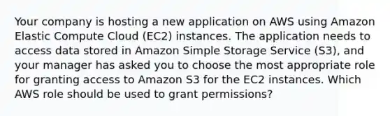 Your company is hosting a new application on AWS using Amazon Elastic Compute Cloud (EC2) instances. The application needs to access data stored in Amazon Simple Storage Service (S3), and your manager has asked you to choose the most appropriate role for granting access to Amazon S3 for the EC2 instances. Which AWS role should be used to grant permissions?