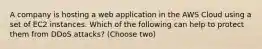 A company is hosting a web application in the AWS Cloud using a set of EC2 instances. Which of the following can help to protect them from DDoS attacks? (Choose two)