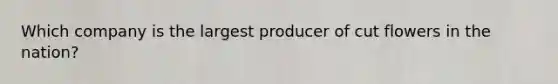 Which company is the largest producer of cut flowers in the nation?
