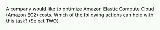 A company would like to optimize Amazon Elastic Compute Cloud (Amazon EC2) costs. Which of the following actions can help with this task? (Select TWO)