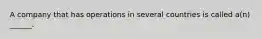 A company that has operations in several countries is called a(n) ______.