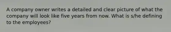 A company owner writes a detailed and clear picture of what the company will look like five years from now. What is s/he defining to the employees?