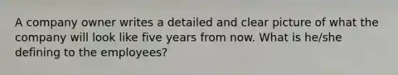 A company owner writes a detailed and clear picture of what the company will look like five years from now. What is he/she defining to the employees?