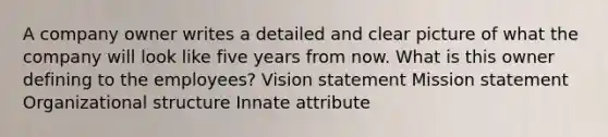 A company owner writes a detailed and clear picture of what the company will look like five years from now. What is this owner defining to the employees? Vision statement Mission statement Organizational structure Innate attribute