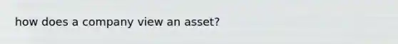 how does a company view an asset?