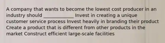 A company that wants to become the lowest cost producer in an industry should _____________ Invest in creating a unique customer service process Invest heavily in branding their product Create a product that is different from other products in the market Construct efficient large-scale facilities