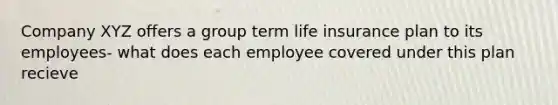 Company XYZ offers a group term life insurance plan to its employees- what does each employee covered under this plan recieve