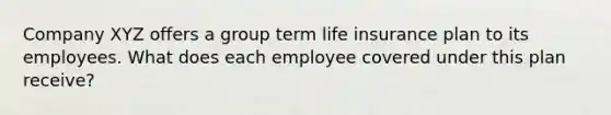 Company XYZ offers a group term life insurance plan to its employees. What does each employee covered under this plan receive?