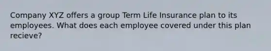 Company XYZ offers a group Term Life Insurance plan to its employees. What does each employee covered under this plan recieve?