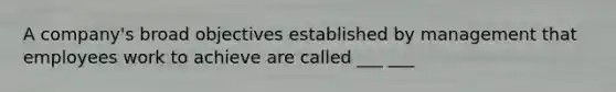 A company's broad objectives established by management that employees work to achieve are called ___ ___