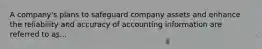 A company's plans to safeguard company assets and enhance the reliability and accuracy of accounting information are referred to as...