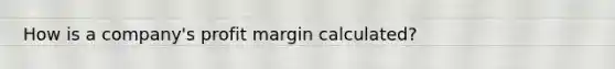 How is a company's profit margin calculated?