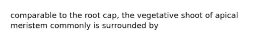 comparable to the root cap, the vegetative shoot of apical meristem commonly is surrounded by