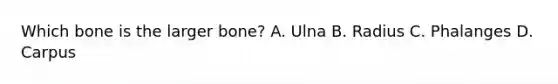 Which bone is the larger bone? A. Ulna B. Radius C. Phalanges D. Carpus