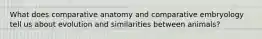 What does comparative anatomy and comparative embryology tell us about evolution and similarities between animals?