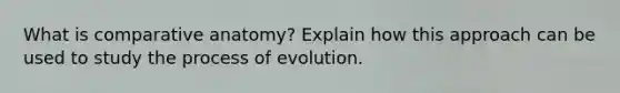 What is comparative anatomy? Explain how this approach can be used to study the process of evolution.