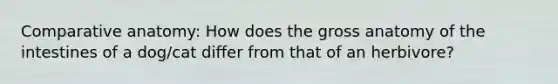 Comparative anatomy: How does the gross anatomy of the intestines of a dog/cat differ from that of an herbivore?
