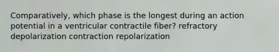 Comparatively, which phase is the longest during an action potential in a ventricular contractile fiber? refractory depolarization contraction repolarization