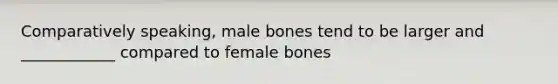 Comparatively speaking, male bones tend to be larger and ____________ compared to female bones