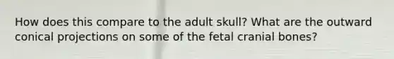 How does this compare to the adult skull? What are the outward conical projections on some of the fetal cranial bones?