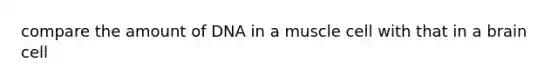 compare the amount of DNA in a muscle cell with that in a brain cell