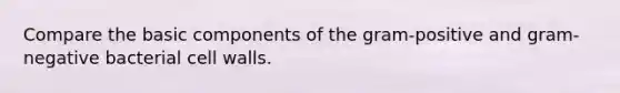 Compare the basic components of the gram-positive and gram-negative bacterial cell walls.