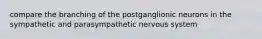 compare the branching of the postganglionic neurons in the sympathetic and parasympathetic nervous system